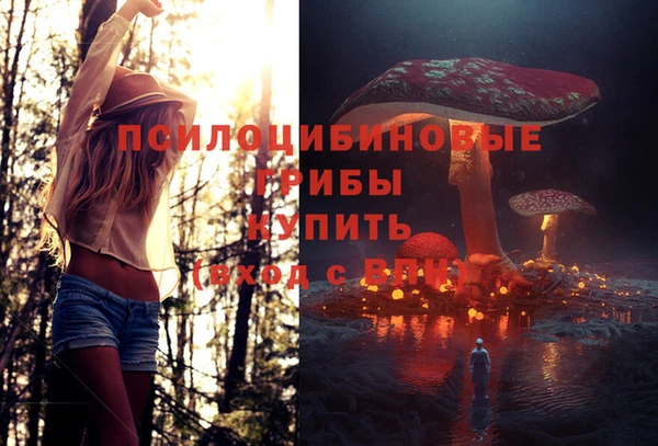 герыч Абинск